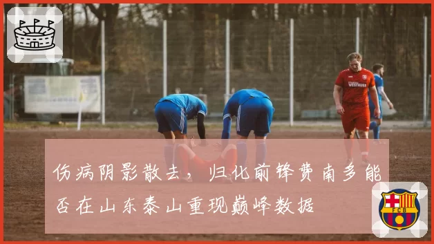 伤病阴影散去，归化前锋费南多能否在山东泰山重现巅峰数据