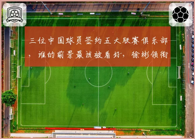 三位中国球员签约五大联赛俱乐部,谁的前景最该被看好,徐彬领衔