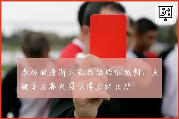 森林狼唐斯六犯离场怒吼裁判，关键季后赛判罚录像分析出炉