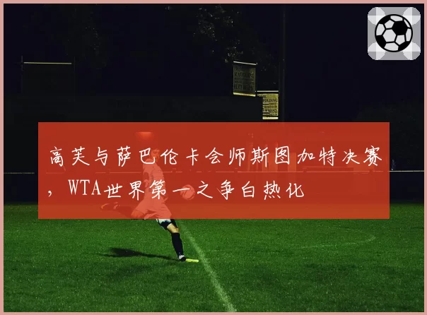 高芙与萨巴伦卡会师斯图加特决赛，WTA世界第一之争白热化